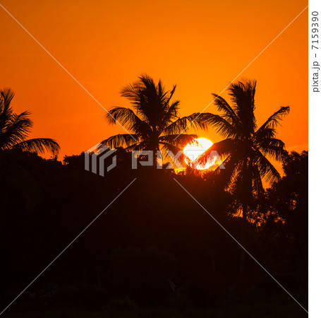 Tropical beach 7159390