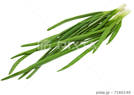 Young onion on white background. Close-Up. Isolated. 7160140