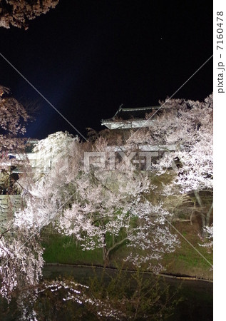 上田城の夜桜 7160478