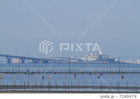 木更津牛込海岸 7160479