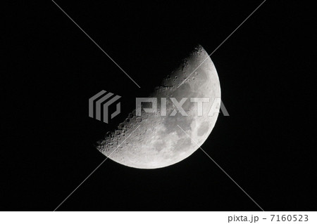 半月 半月 7160523