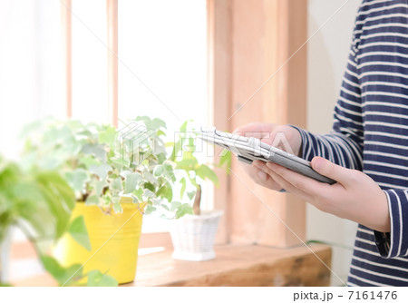 観葉植物とタブレットを操作する手元 7161476
