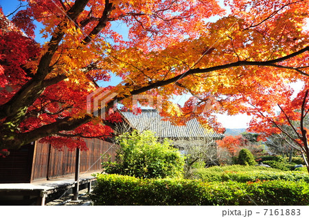 京都　勧修寺の紅葉 7161883