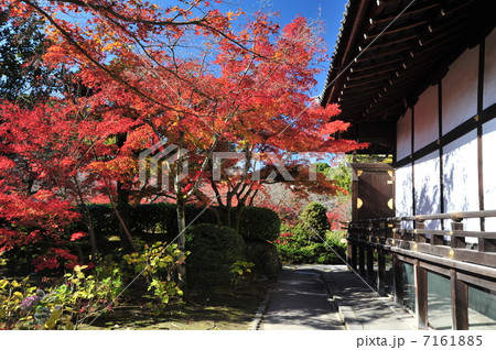 京都　勧修寺の紅葉 7161885