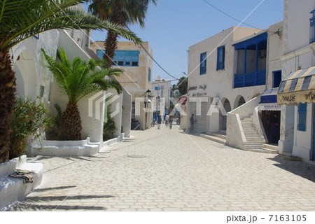 チュニジア　ジェルバ島 7163105