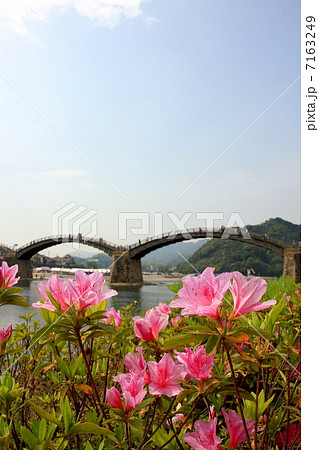 錦帯橋 7163249