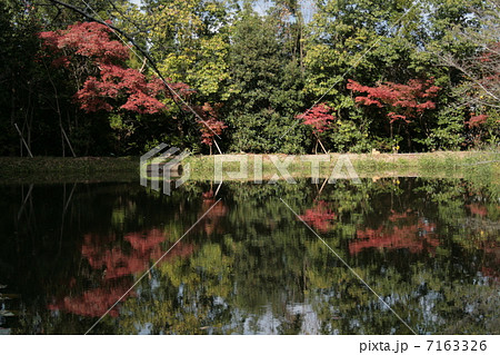 紅葉を写す池 7163326