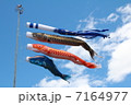鯉のぼり 7164977
