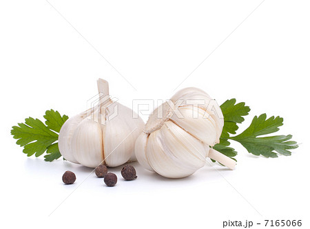 garlic bulb 7165066