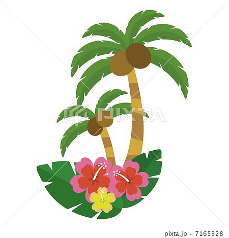 椰子の木とハイビスカスのイラスト素材 7165328 Pixta