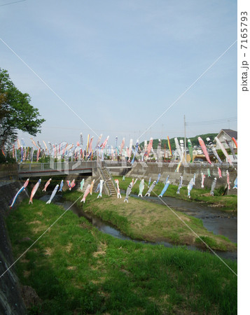 こいのぼり 7165793