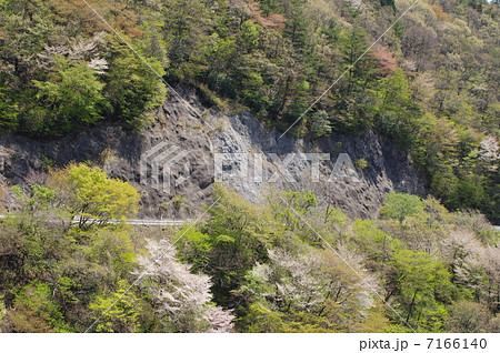 伊吹山ドライブウェイ 7166140