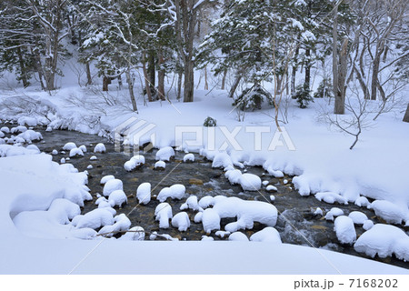 雪の川上川 雪の川上川 7168202