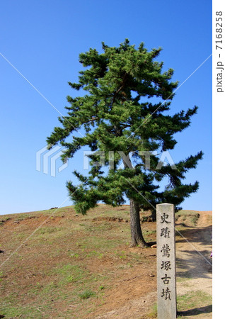 若草山の鶯塚古墳 若草山の鶯塚古墳 7168258