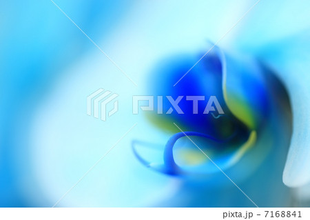 蘭 7168841