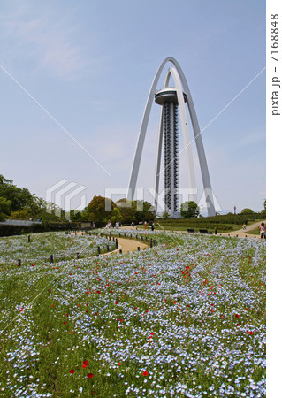 国営木曽三川公園　138タワー 7168848