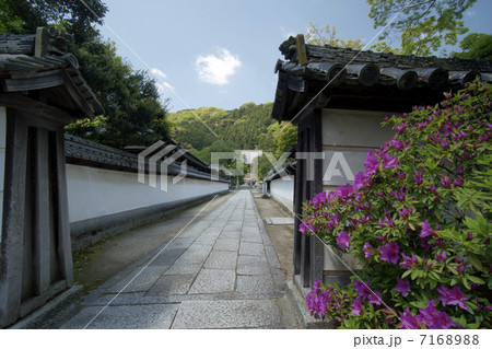 矢田寺　参道 7168988