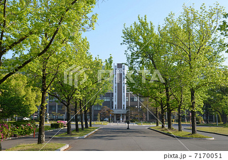 岡山大学 銀杏並木と中央図書館の写真素材