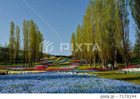 淡路島国営明石海峡公園 淡路島国営明石海峡公園 7170144