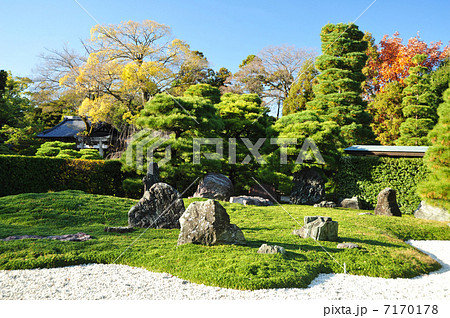 京都　城南宮　城南離宮の庭 7170178