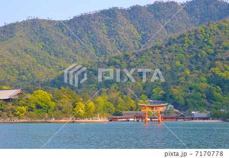 厳島神社 厳島神社 7170778