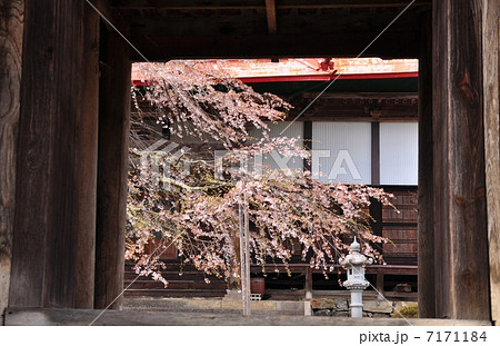 長妙寺の山門より本堂を望む 7171184