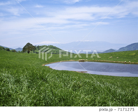 山形、天童高原 山形、天童高原 7171275