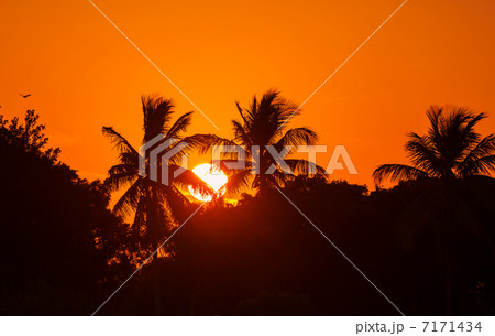 Tropical beach 7171434