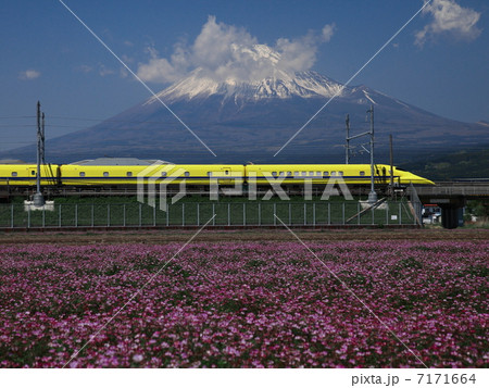 レンゲ畑を行く 7171664