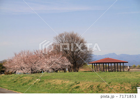渡良瀬遊水池の風景 7171853
