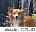 涼を求めて１ 7172163