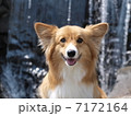 涼を求めて２ 7172164