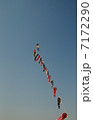 凧 7172290