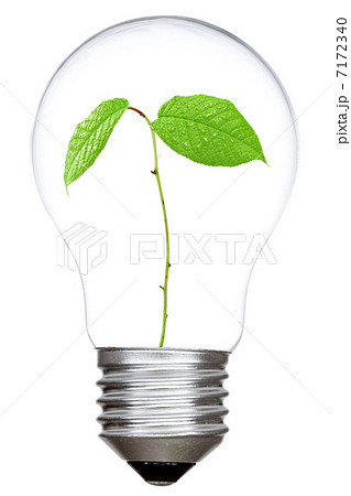 Light bulb with green sprout inside Light bulb with green sprout inside 7172340