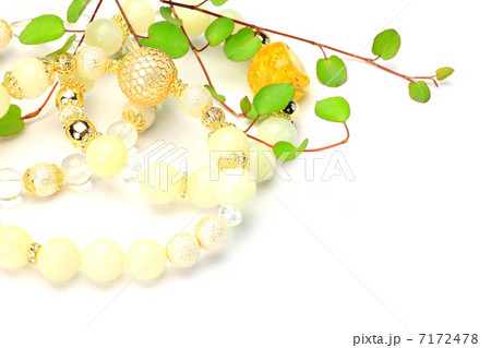 アクセサリーと植物 アクセサリーと植物 7172478