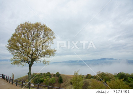 若草山の朝景色 若草山の朝景色 7173401