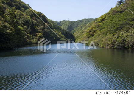 新緑の池畔 7174304