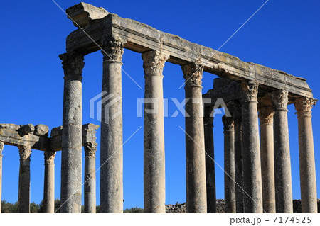 ドゥッガ ドゥッガ 7174525