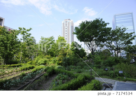 梅田新スカイシティーとグランフロント大阪オーナーズタワー 梅田新スカイシティーとグランフロント大阪オーナーズタワー 7174534