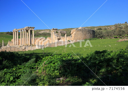 ドゥッガ 7174556