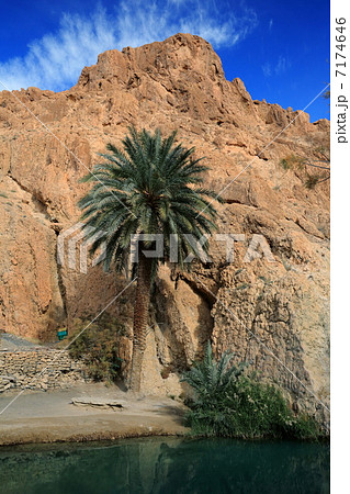 シェビカ シェビカ 7174646