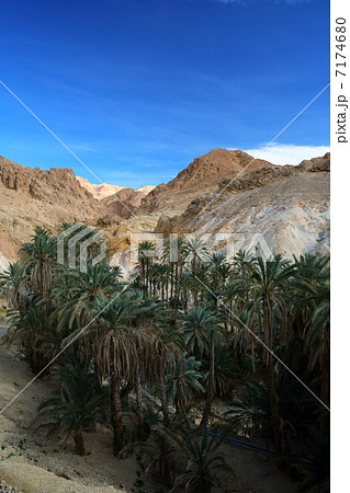 シェビカ シェビカ 7174680