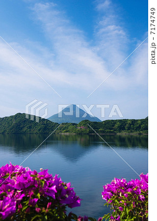 春の池田湖畔と開聞岳 春の池田湖畔と開聞岳 7174749