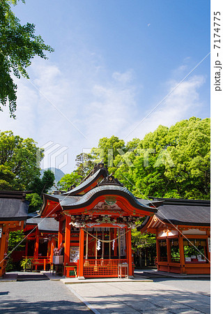 新緑の牧聞神社 7174775