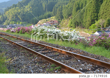 線路上 線路上 7174916