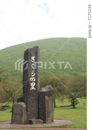 さくらの里 伊東市 大室山 さくらの里 伊東市 大室山 7175244