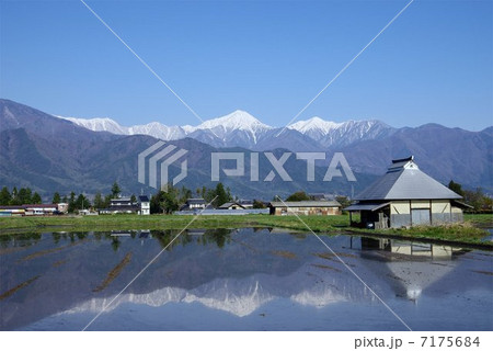 春の信州　安曇野・北アルプス 7175684