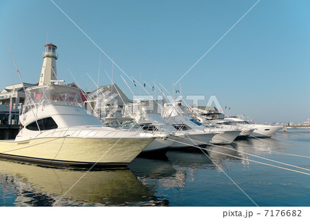 クルーザー クルーザー 7176682