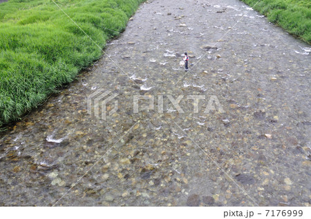 夏の興津川 夏の興津川 7176999