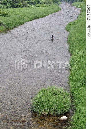夏の興津川 7177000